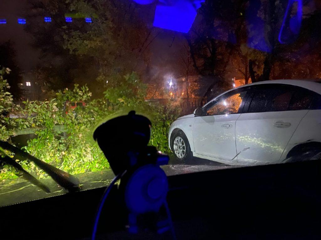 В Приокском упавшее дерево повредило две машины