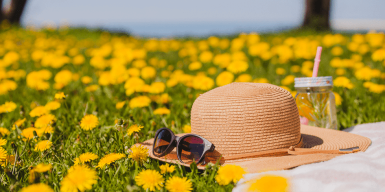 Россиянам пообещали возвращение 30-градусного тепла в последний день августа