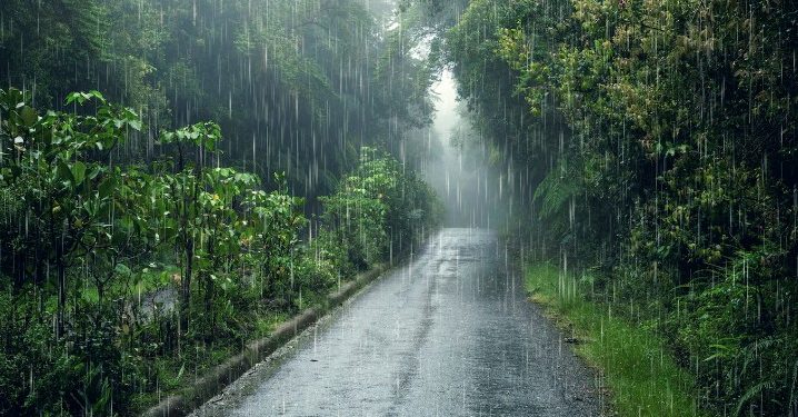 В Луховицах запечатлели сильный ливень