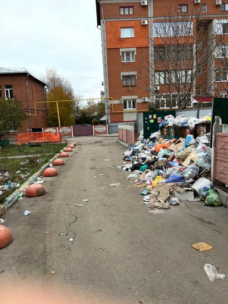 Рязанцы пожаловались властям на утопающие в мусоре дворы