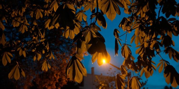 Метеоролог Вильфанд предупредил россиян об аномально теплых ночах