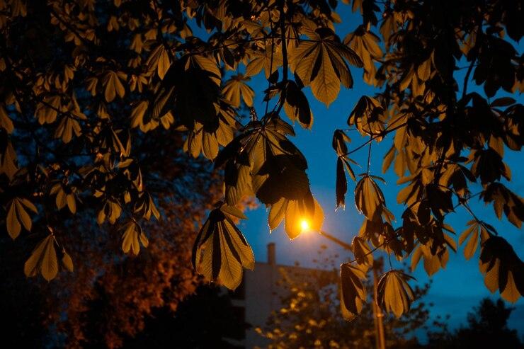 Метеоролог Вильфанд предупредил россиян об аномально теплых ночах