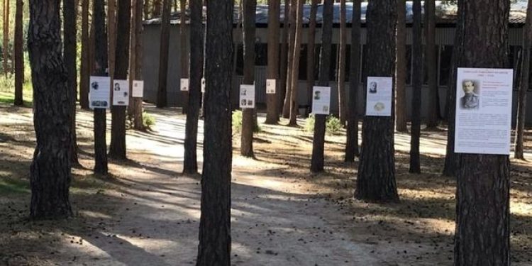 Жители рязанской Солотчи остались в ужасе от табличек, прикрученных к соснам саморезами Жители рязанской Солотчи остались в ужасе от табличек, прикрученных к соснам саморезами