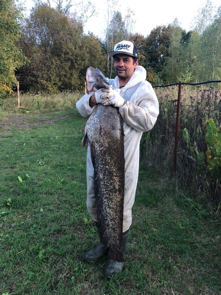 В Шиловском районе рыбак выловил из реки сома весом свыше 25 килограммов