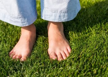 В Рязани нетерпеливость маршрутчика привела к потере 9-летнего мальчика