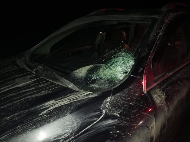 В Шиловском районе водитель легковушки насмерть сбил пешехода