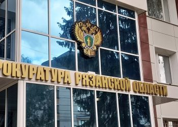 Жительницу рязанского Рыбного осудили за оформление микрозайма на другую женщину