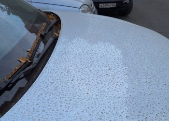 Песчаная буря добралась до Рязани