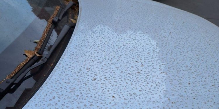 Песчаная буря добралась до Рязани