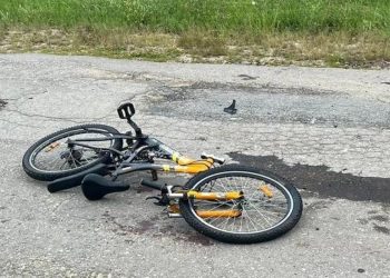 В Пителинском районе велосипедист попал под колеса мопеда