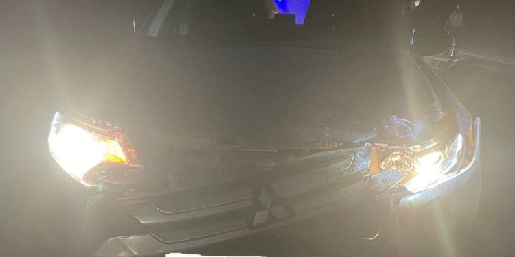 Поблизости рязанской Солотчи водитель легковушки насмерть сбил 53-летнюю женщину-пешехода