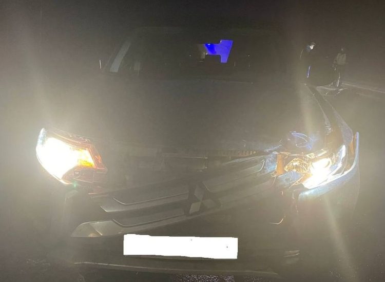 Поблизости рязанской Солотчи водитель легковушки насмерть сбил 53-летнюю женщину-пешехода