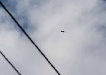 Шесть БПЛА сбили над Рязанской областью