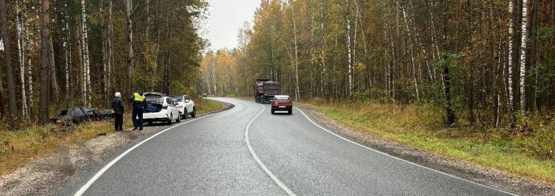 В ДТП в Клепиковском районе пострадали два человека