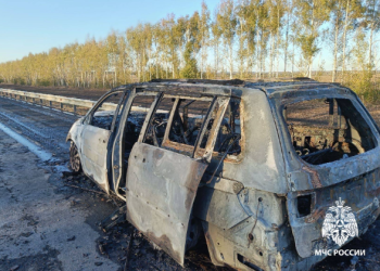 В Скопинском районе сгорел автомобиль