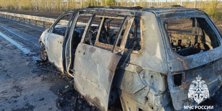 В Скопинском районе сгорел автомобиль