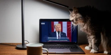 На переговорах с Зеленским Трамп заявил о встрече с Путиным и сроках окончания СВО