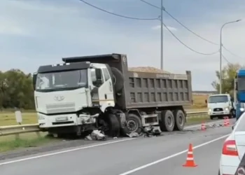 Под Рязанью новое смертельное ДТП унесло жизнь девятилетнего ребенка