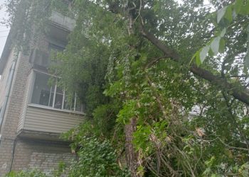 В рязанском Приокском дерево упало на балкон жилого дома
