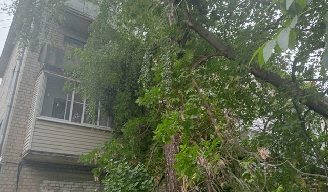 В рязанском Приокском дерево упало на балкон жилого дома
