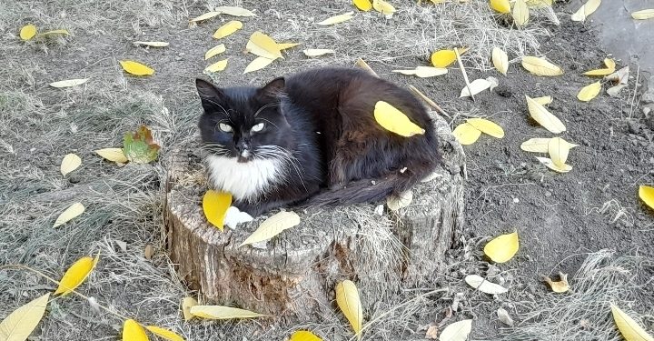 В субботу в Рязанской области ожидается до +14 градусов