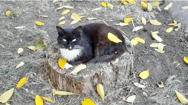 В пятницу в Рязанской области ожидается до +22 градусов