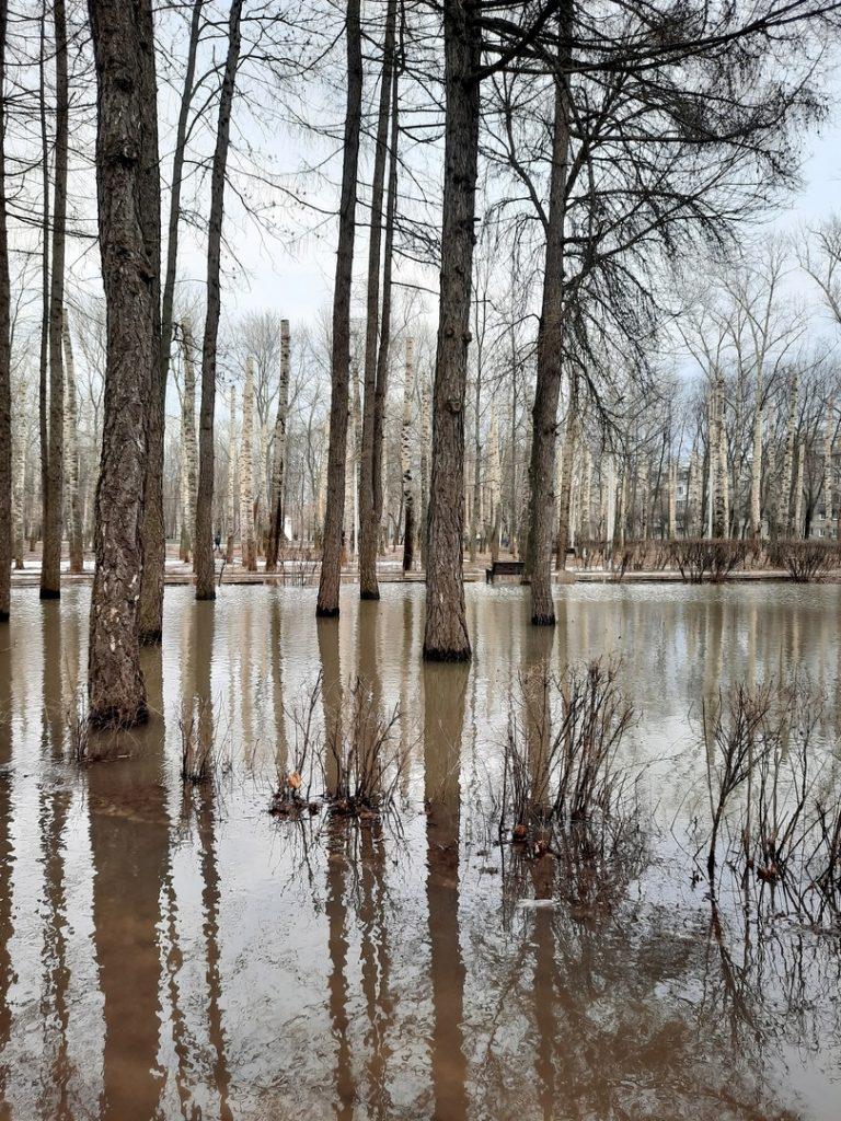 В Рязани затопило парк Гагарина