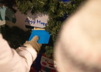 В рязанском Лесопарке заработала почта Деда Мороза