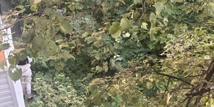 На улице Стройкова нашли тело пожилой рязанки