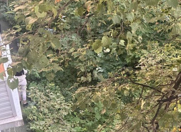 На улице Стройкова нашли тело пожилой рязанки