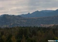Семья Усольцевых исчезла, поиски полны страха и версий