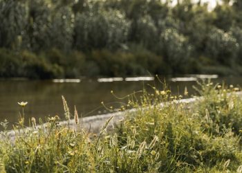 Из Оки в Рязани подняли тело мужчины 15 июля Из Оки в Рязани подняли тело мужчины 15 июля