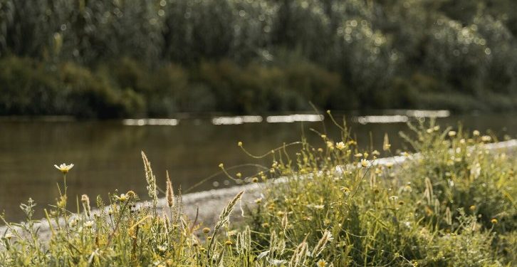 Из Оки в Рязани подняли тело мужчины 15 июля Из Оки в Рязани подняли тело мужчины 15 июля