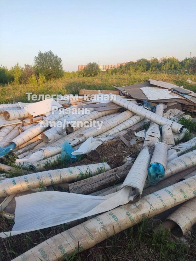 Горожане сообщили о свалке вдоль рязанского ручья Быстрец