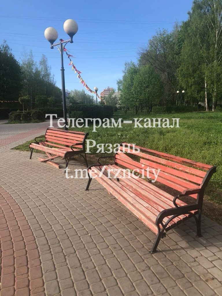 Неизвестные разгромили лавочки в рязанском парке имени Скобелева