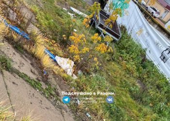 Рязанцы пожаловались на мусор около Горбатого моста