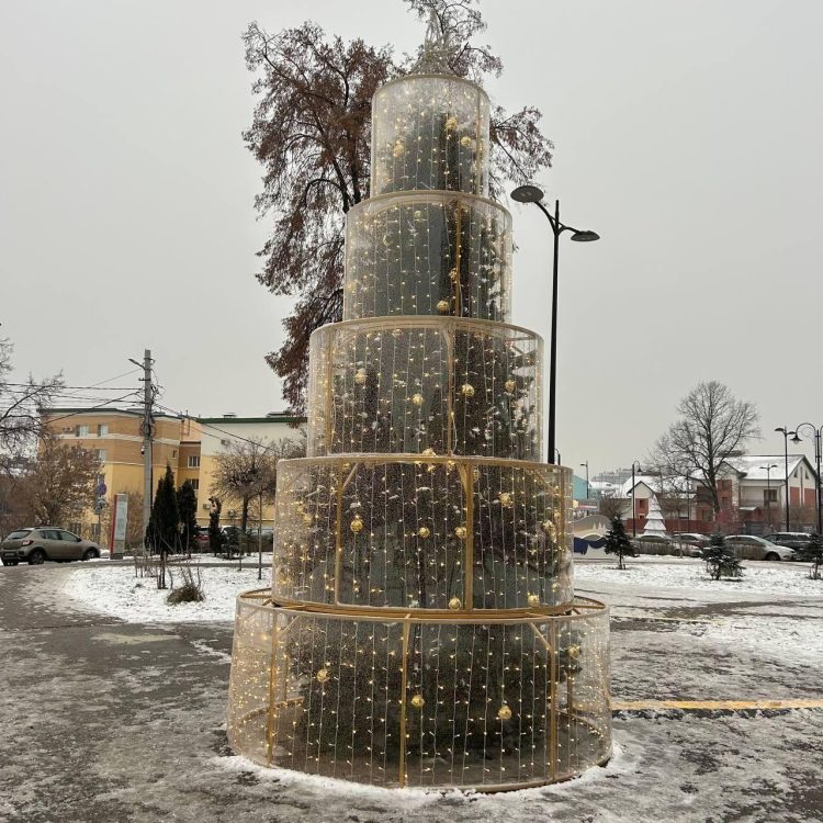 В Рязани появилась креативная аллея елок