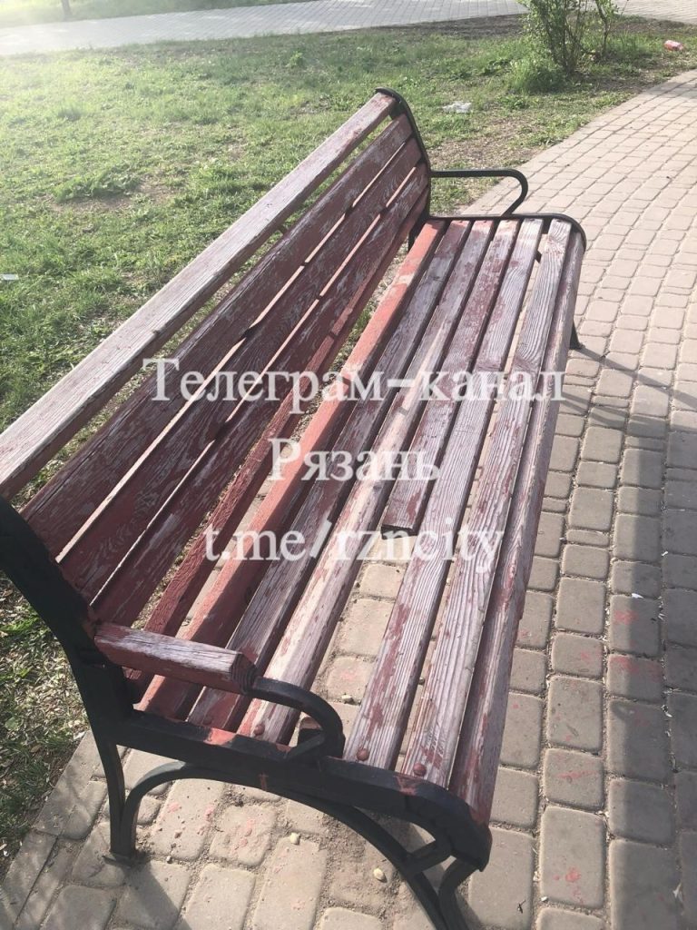 Неизвестные разгромили лавочки в рязанском парке имени Скобелева
