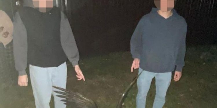 Полицейские поймали касимовцев, укравших бронзовую фигуру гуся в поселке Гусь-Железный