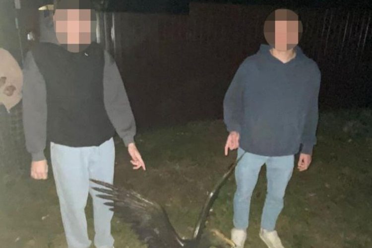 Полицейские поймали касимовцев, укравших бронзовую фигуру гуся в поселке Гусь-Железный