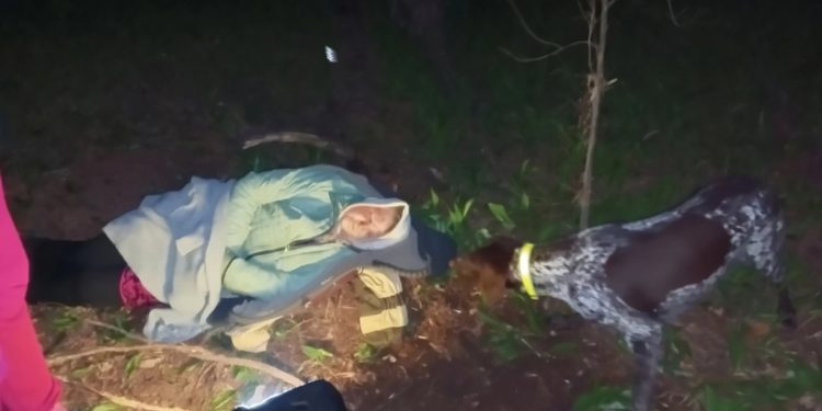 Рязанские волонтеры опубликовали снимки после нахождения пропавшей пенсионерки