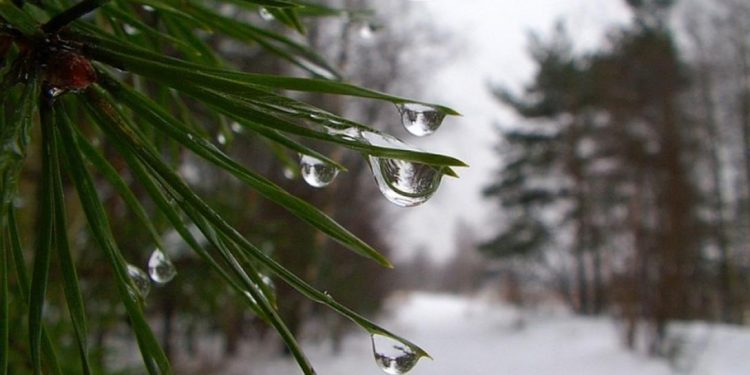 Метеоролог Вильфанд: на текущей неделе россиян ждет аномальная оттепель