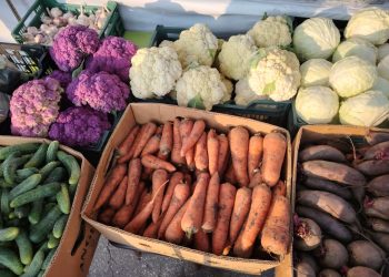 На ярмарках выходного дня в Рязани горожане купили 6,1 тонны мяса и 4,2 тонны молока