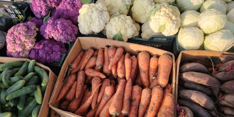 На ярмарках выходного дня в Рязани горожане купили 6,1 тонны мяса и 4,2 тонны молока