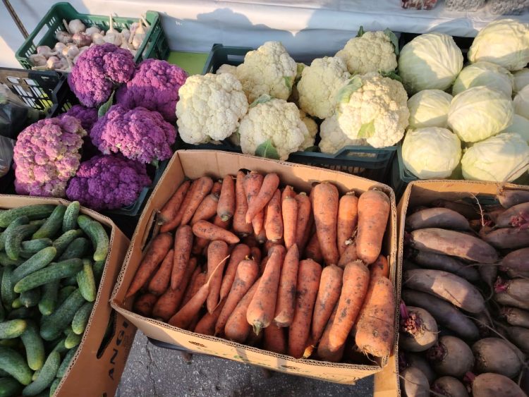 На ярмарках выходного дня в Рязани горожане купили 6,1 тонны мяса и 4,2 тонны молока