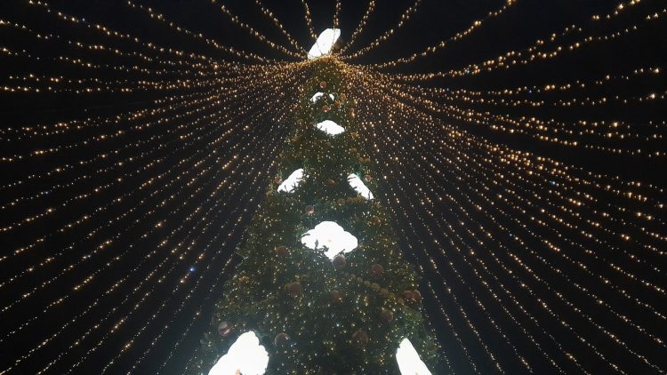 В Сети опубликовали программу проекта "Рязань Новогодняя столица - 2026"