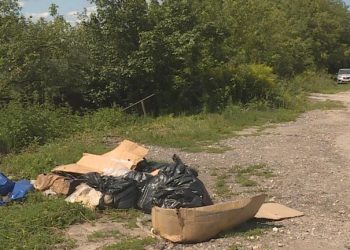 На дачных участках в Рязани обнаружили пакеты с мясом неизвестного происхождения