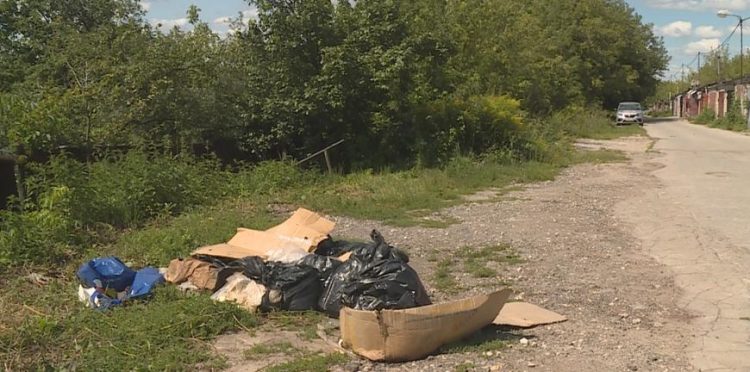 На дачных участках в Рязани обнаружили пакеты с мясом неизвестного происхождения