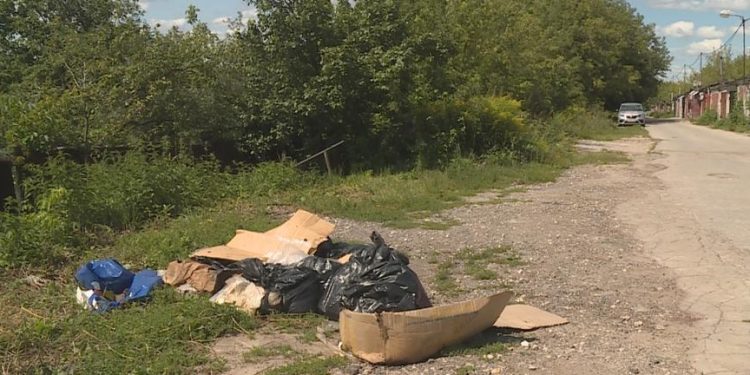 На дачных участках в Рязани обнаружили пакеты с мясом неизвестного происхождения