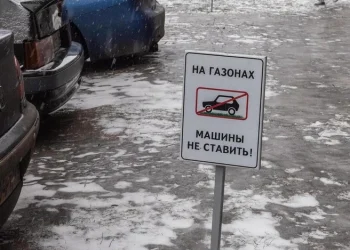 Штрафы за парковку на газонах в Рязани превысили 300 тысяч рублей